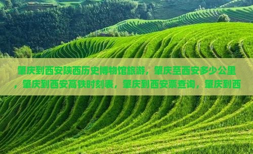 肇庆到西安陕西历史博物馆旅游