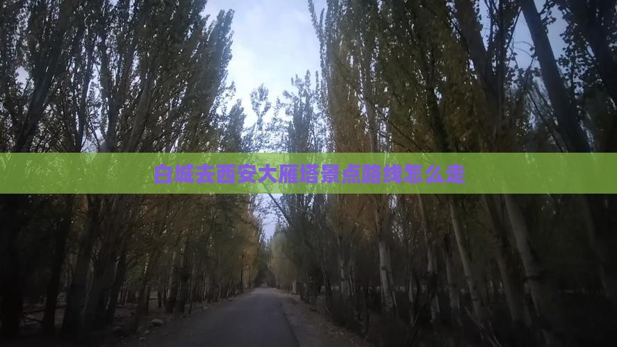 白城去西安大雁塔景点