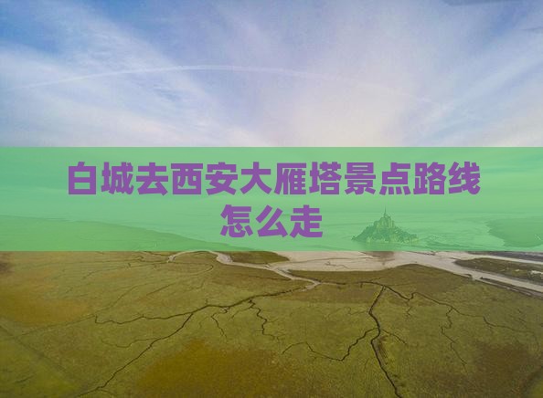 白城去西安大雁塔景点