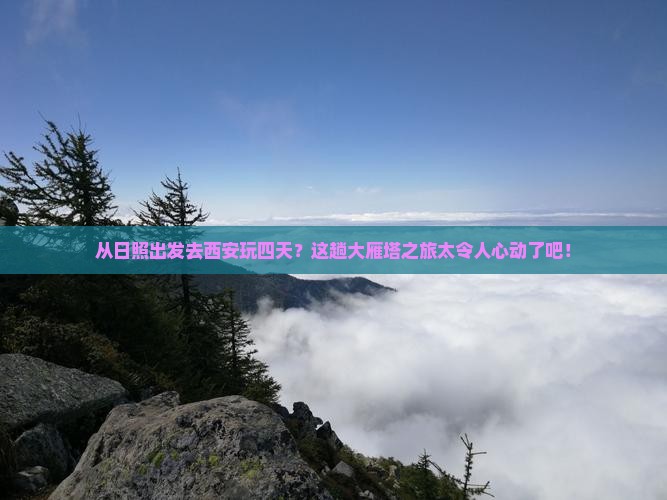 日照到西安大雁塔四日游