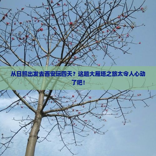 日照到西安大雁塔四日游