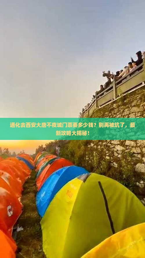 通化去西安大唐不夜城门票