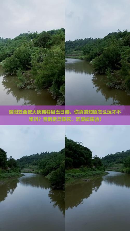 洛阳去西安大唐芙蓉园五日游