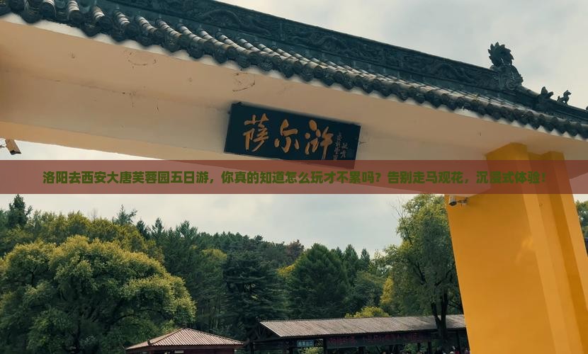 洛阳去西安大唐芙蓉园五日游