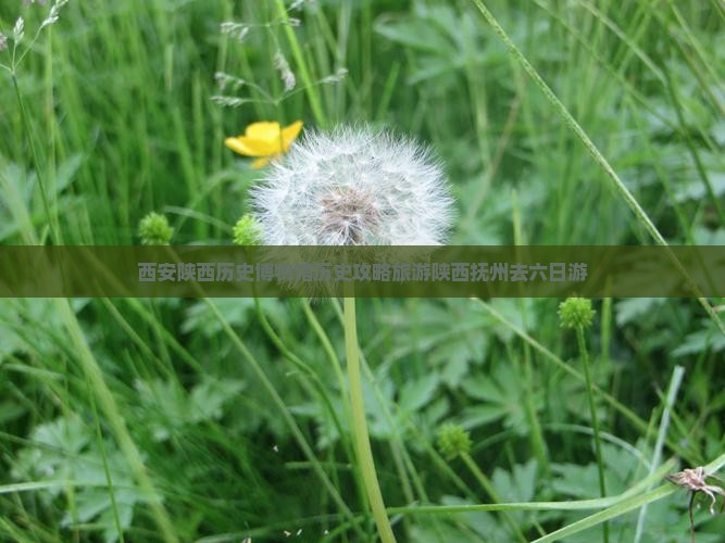 抚州去西安陕西历史博物馆六日游 抚州去西安陕西历史博物馆六日游