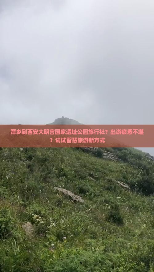 萍乡到西安大明宫国家遗址公园旅行社