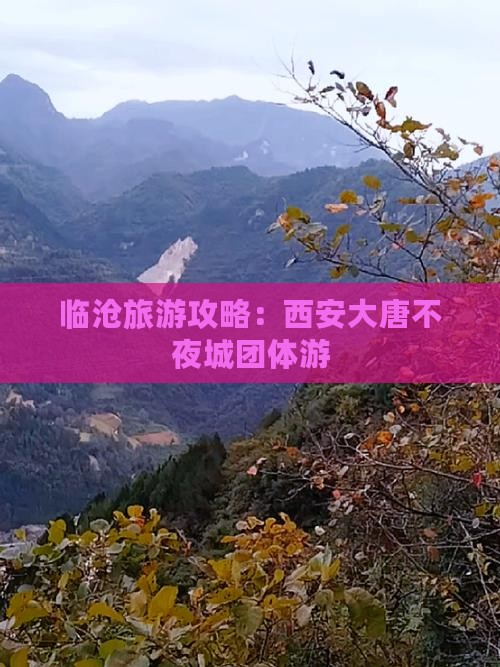 临沧去西安大唐不夜城团体旅游