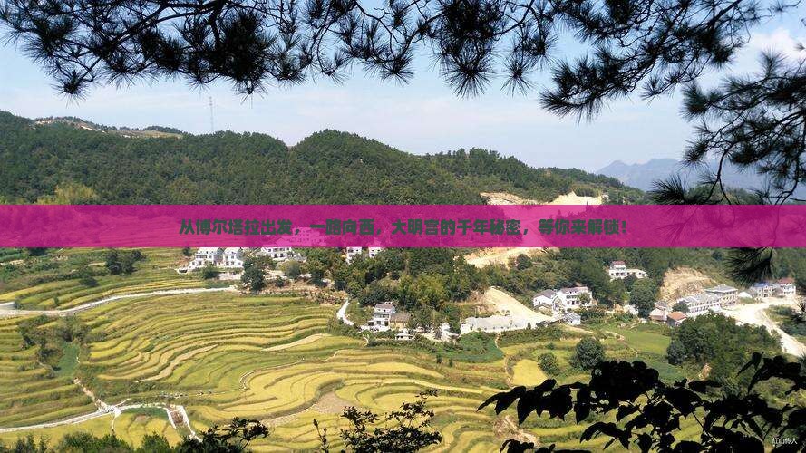 博尔塔拉到西安大明宫国家遗址公园个人游