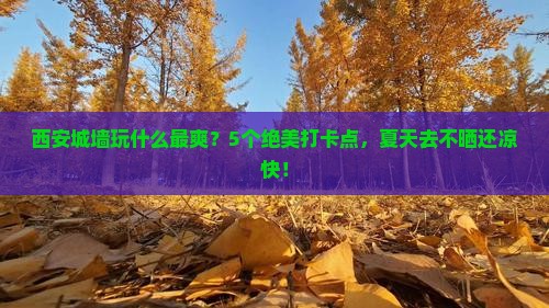 夏天去西安城墙攻略