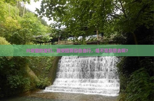 兴安盟去西安回民街自由行