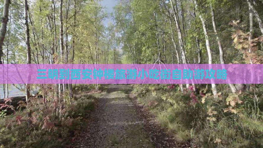 三明到西安钟楼旅游小吃
