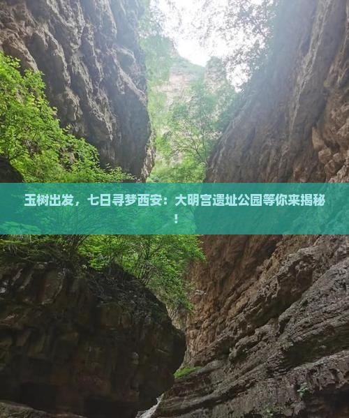 玉树到西安大明宫国家遗址公园七日游