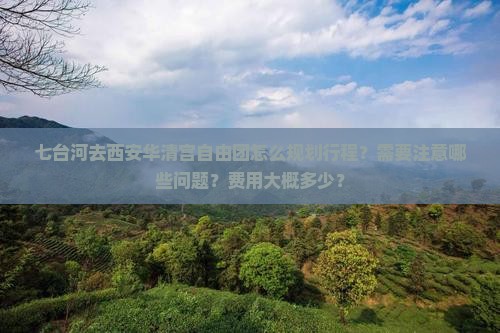 七台河去西安华清宫自由团