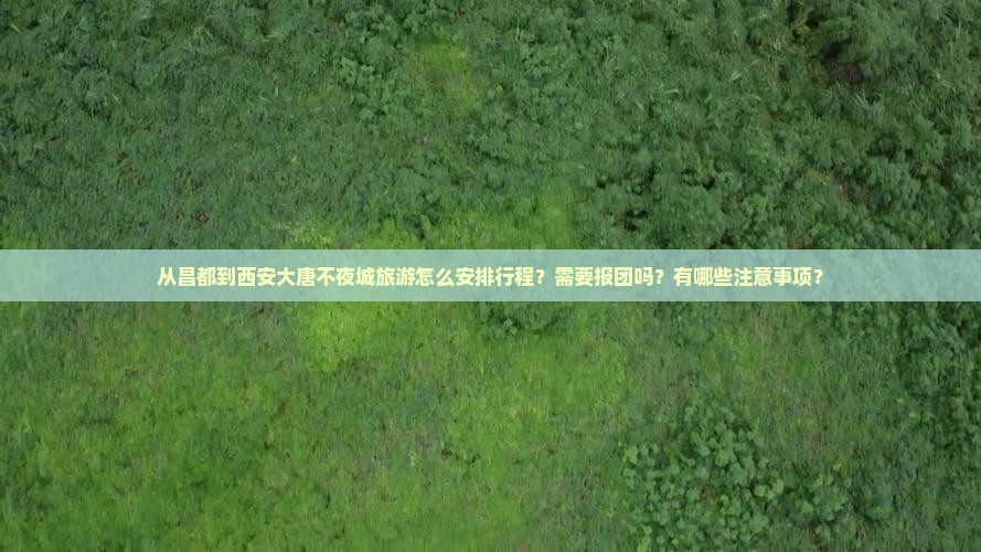 昌都到西安大唐不夜城旅行社