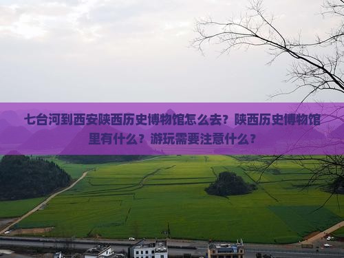 七台河去西安陕西历史博物馆旅游