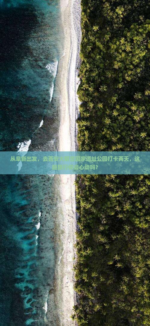 阜新到西安大明宫国家遗址公园二日游