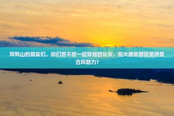 双鸭山去西安大唐芙蓉园团体旅游