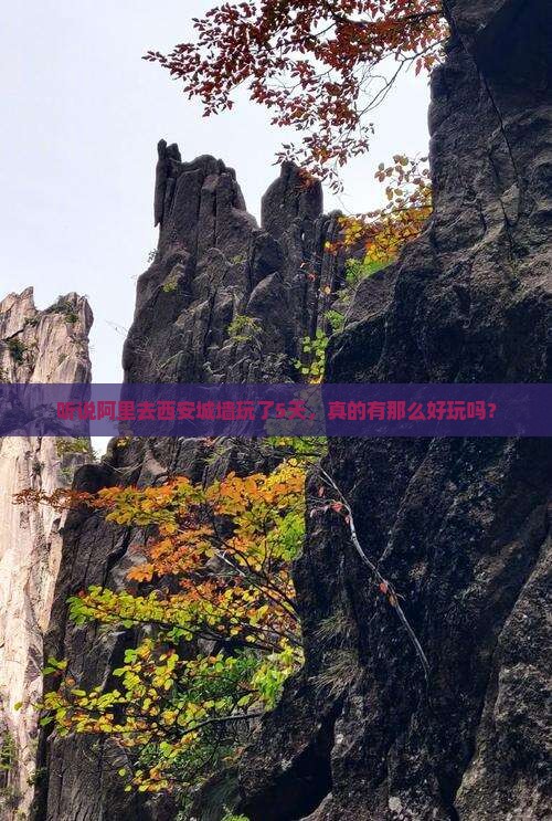 阿里去西安城墙五日游