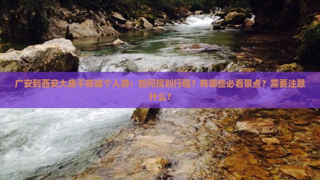 广安到西安大唐不夜城个人游