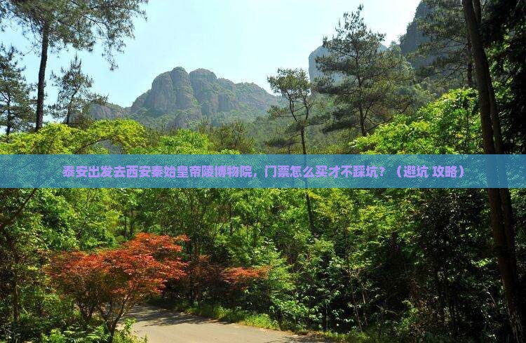 泰安到西安秦始皇帝陵博物院门票