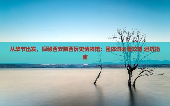 毕节到西安陕西历史博物馆团体旅游