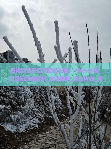 绥化到西安回民街必去地
