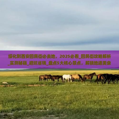 绥化到西安回民街必去地