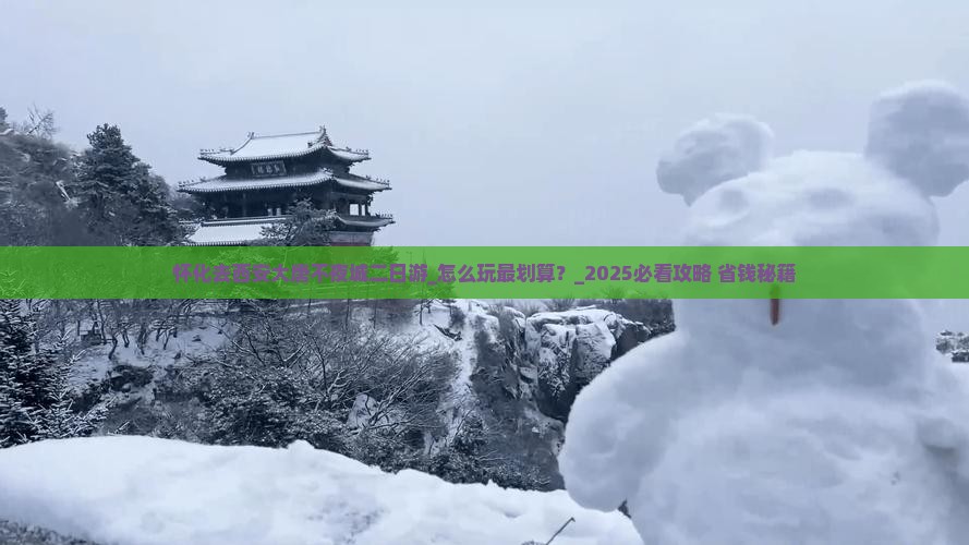 怀化去西安大唐不夜城二日游