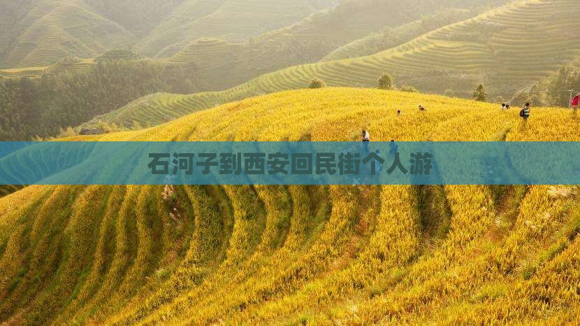 石河子到西安回民街个人游