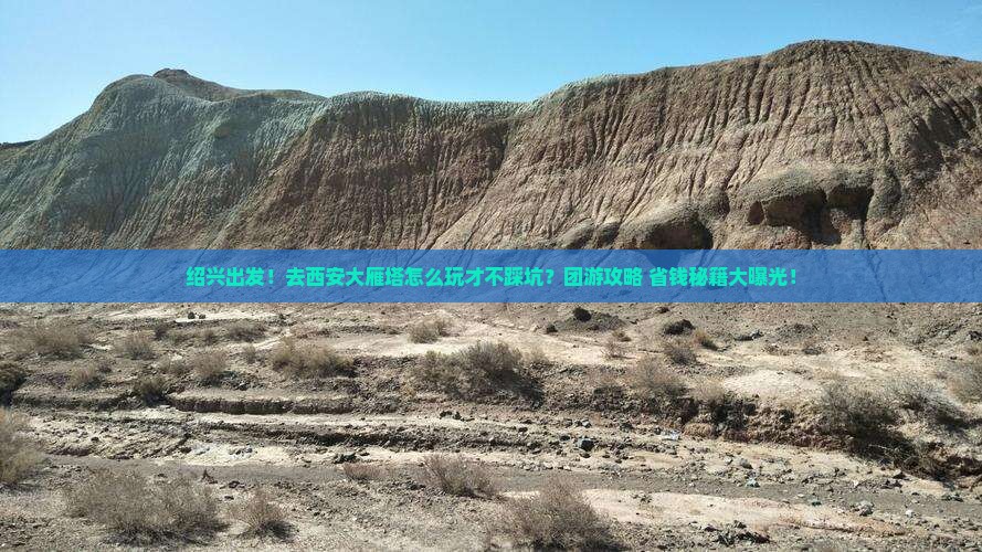 绍兴去西安大雁塔团体旅游