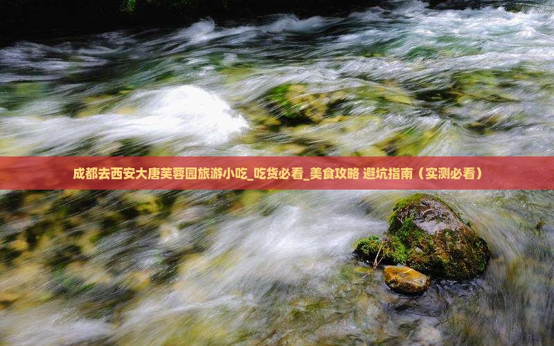 成都去西安大唐芙蓉园旅游小吃