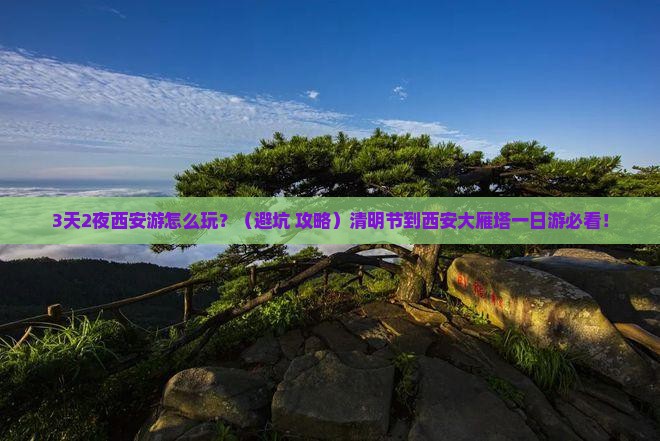 清明节到西安大雁塔一日游
