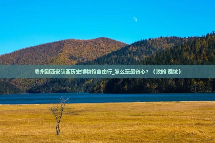 亳州到西安陕西历史博物馆自由行