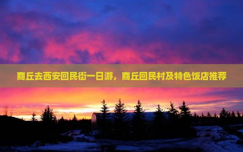 商丘去西安回民街一日游
