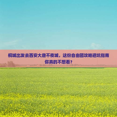 桐城到西安大唐不夜城自由团 桐城到西安大唐不夜城自由团
