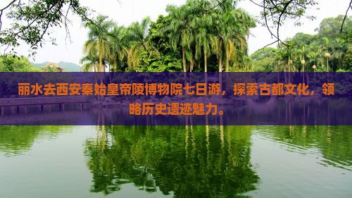 丽水去西安秦始皇帝陵博物院七日游