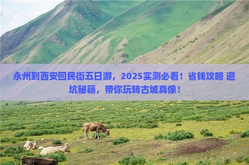 永州到西安回民街五日游