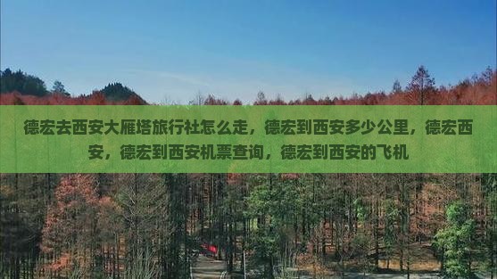 德宏去西安大雁塔旅行社