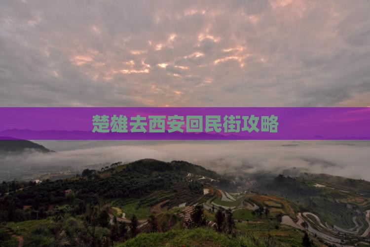 楚雄去西安回民街门票