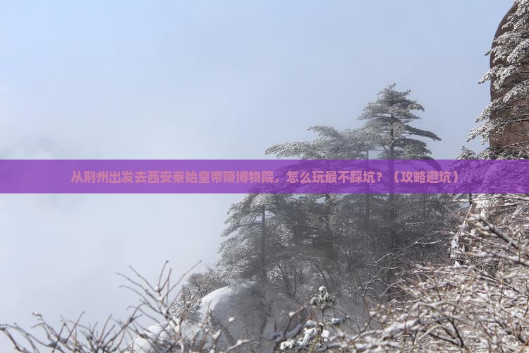 荆州去西安秦始皇帝陵博物院旅游