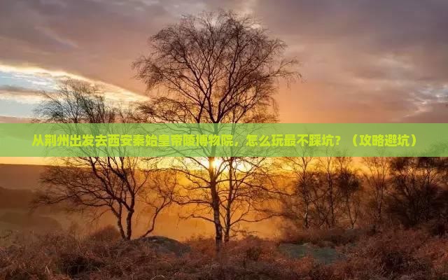 荆州去西安秦始皇帝陵博物院旅游
