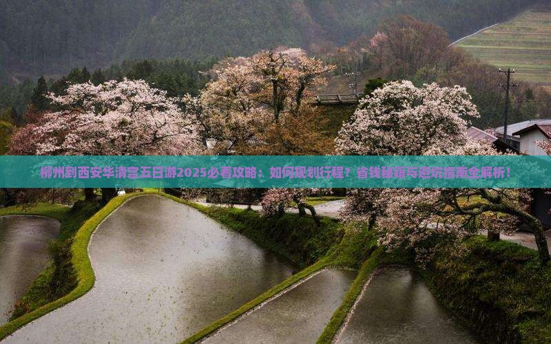 柳州到西安华清宫五日游