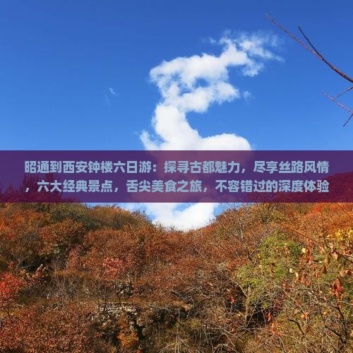 昭通到西安钟楼六日游