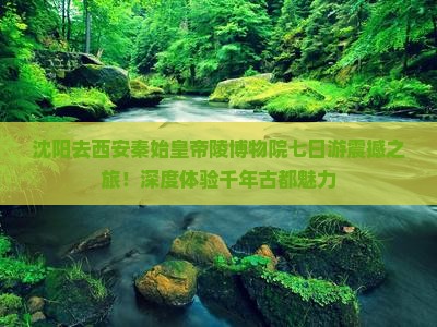 沈阳去西安秦始皇帝陵博物院七日游
