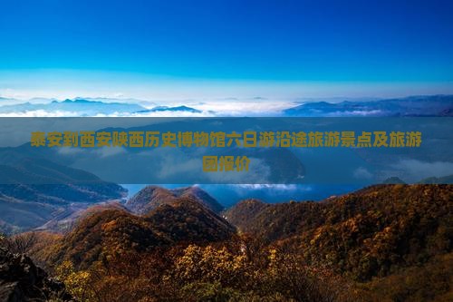 泰安到西安陕西历史博物馆六日游