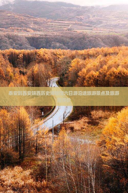 泰安到西安陕西历史博物馆六日游