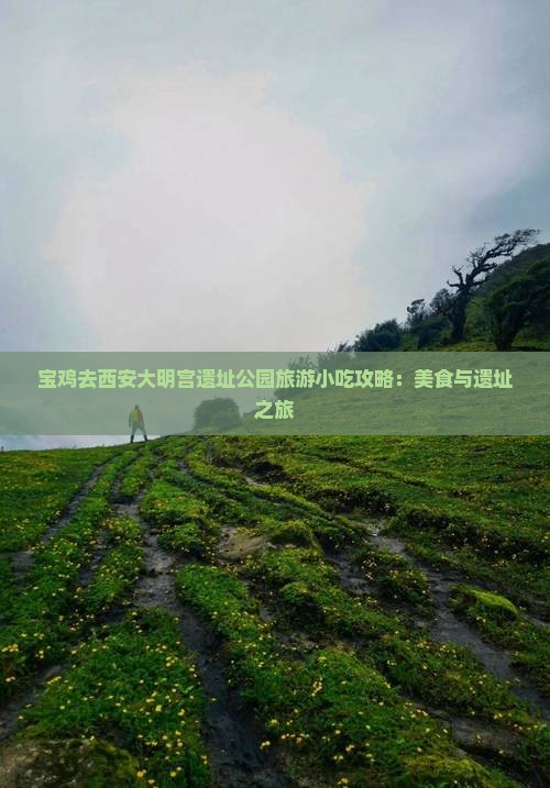 宝鸡去西安大明宫国家遗址公园旅游小吃
