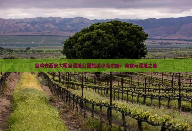 宝鸡去西安大明宫国家遗址公园旅游小吃