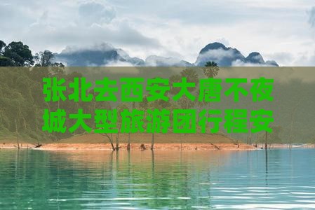 张北去西安大唐不夜城大型旅游团