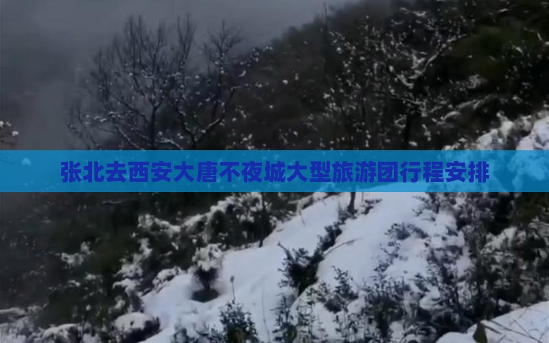 张北去西安大唐不夜城大型旅游团